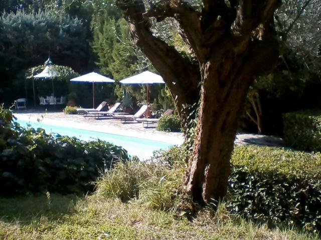 פסארו Villa Dall Acqua מראה חיצוני תמונה