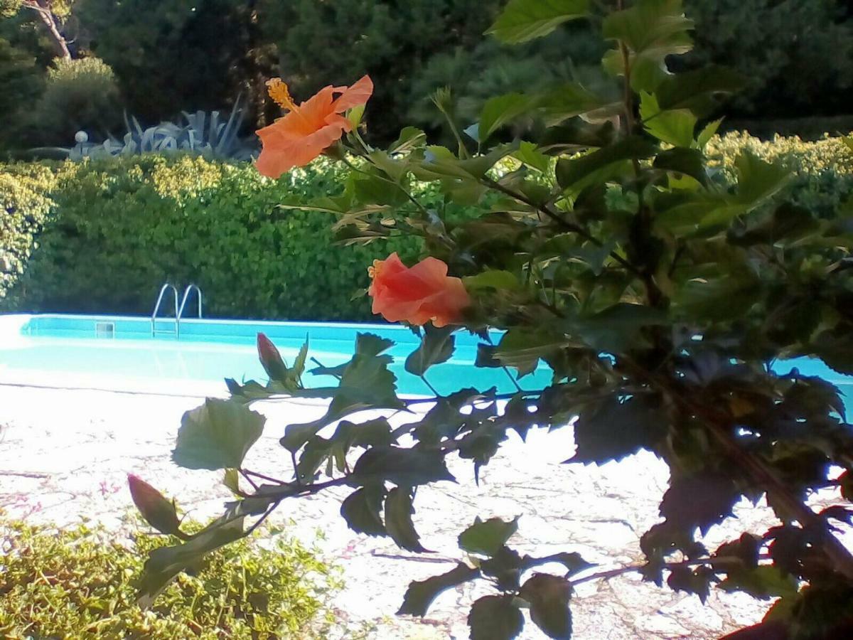 פסארו Villa Dall Acqua מראה חיצוני תמונה