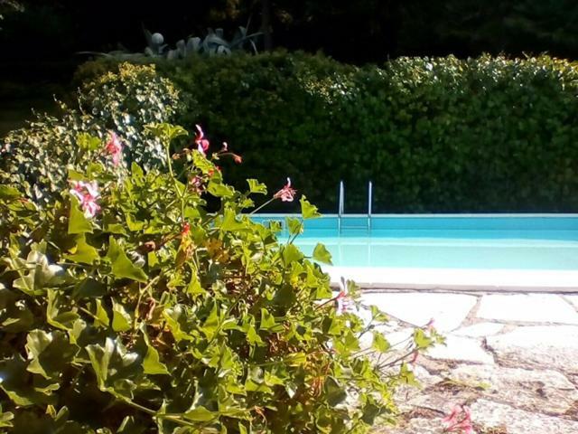 פסארו Villa Dall Acqua מראה חיצוני תמונה